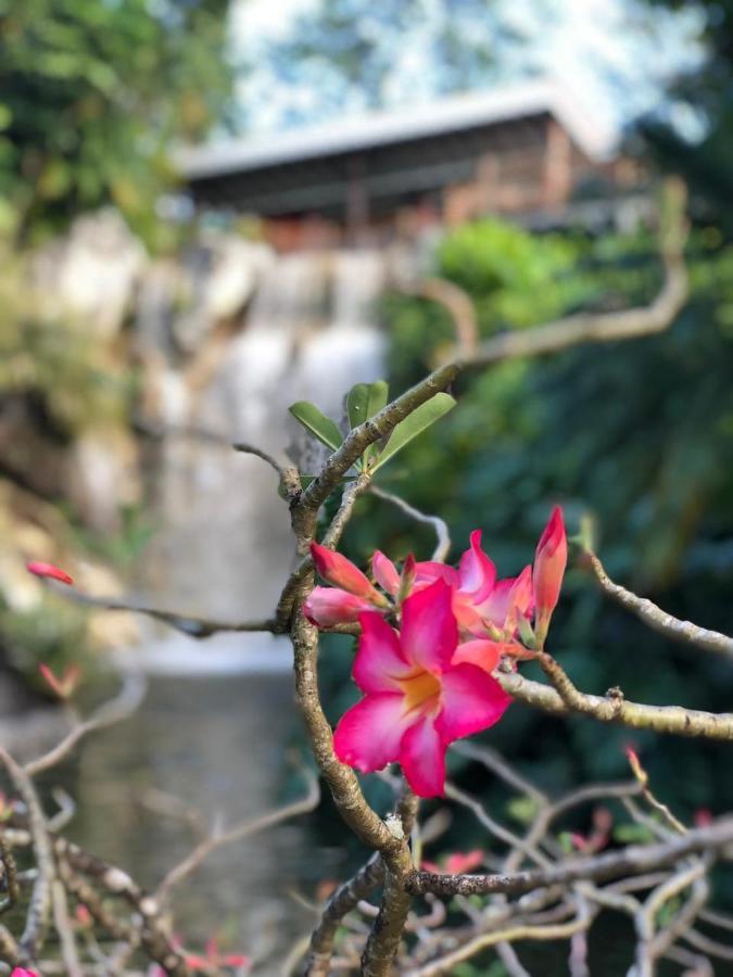 Jolie Petite Villa Sur Une Presqu'Ile 르 고지에 외부 사진