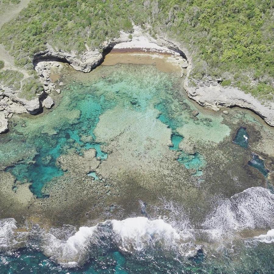 Jolie Petite Villa Sur Une Presqu'Ile 르 고지에 외부 사진